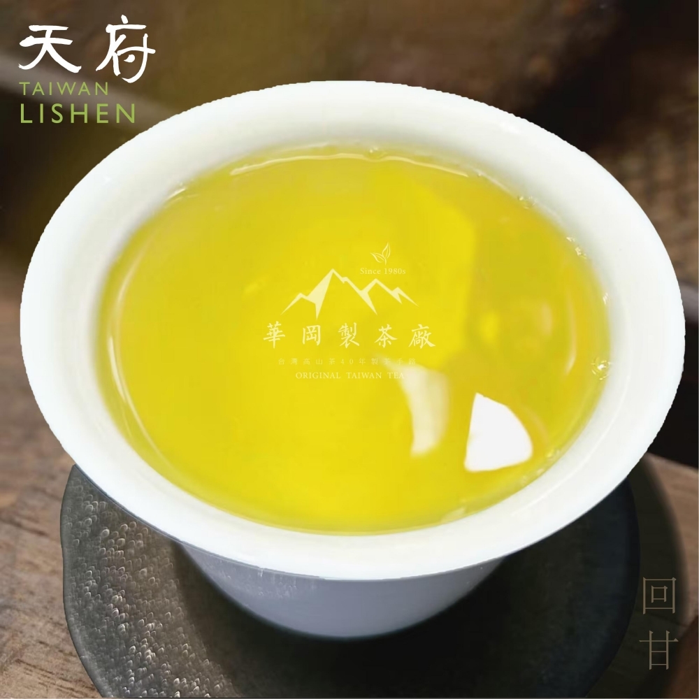 『梨山茶王上頂天府』梨山大樹旁山頂茶區